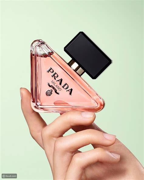 perfy prada|prada paradoxe fragrance.